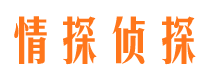 虎林市侦探